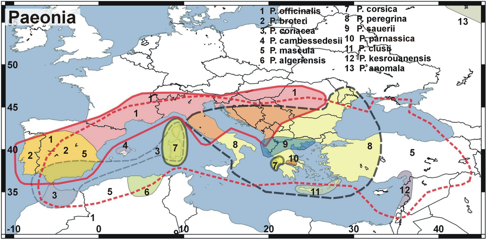 Kaart van Paeonia corsica verspreidingsgebied in Europa.