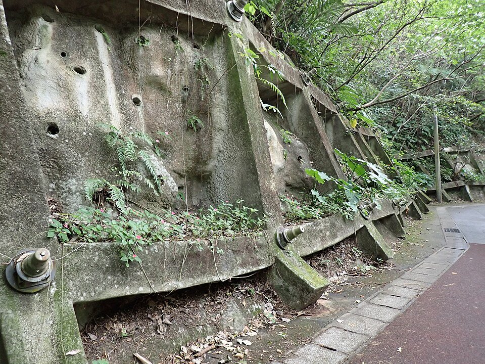 Impatiens bloemen in halfschaduwige omgeving.