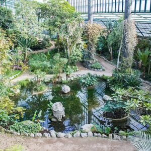 Estufa Fria omgeven door weelderig groen, kalkrijke grond en winterhardheid.