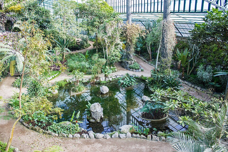 Estufa Fria omgeven door weelderig groen, kalkrijke grond en winterhardheid.