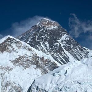 Rijpe tangor fruit met besneeuwde Himalaya bergen op achtergrond.