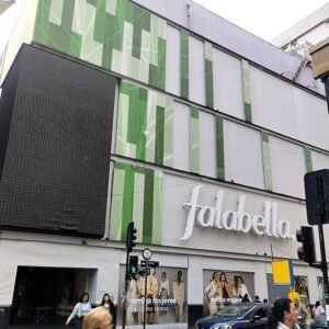 Eulychnia acida cactus met helderroze bloemen en stekelige groene stengels.