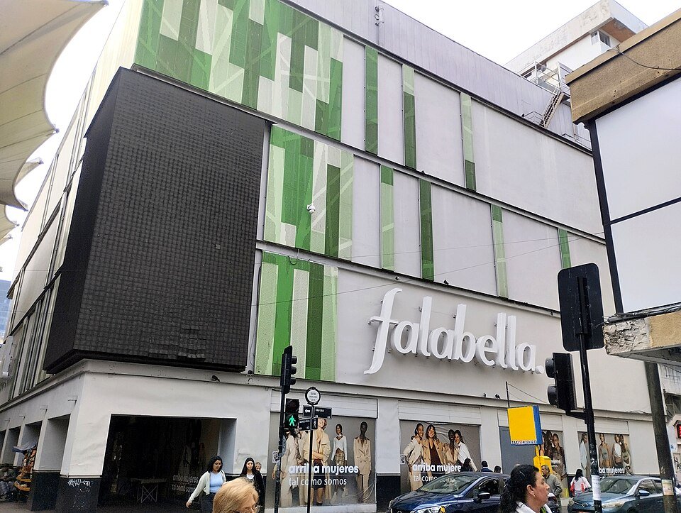 Eulychnia acida cactus met helderroze bloemen en stekelige groene stengels.