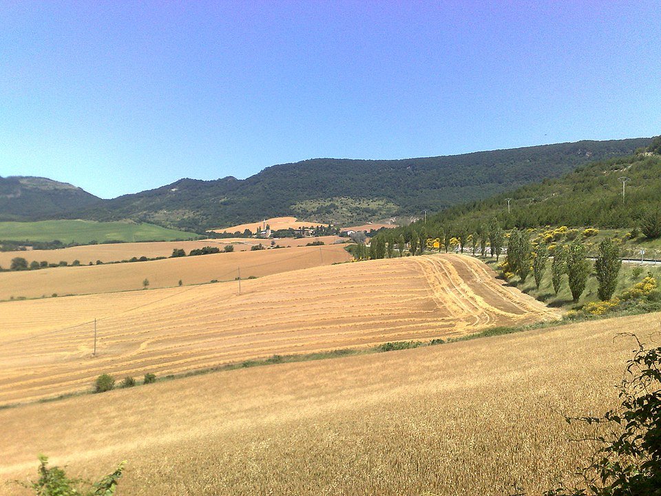 Purple Gongora orchid flower with delicate petals and green leaves.