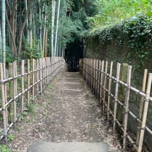 Prachtige Sakura bloesems op Hiyodori-zaka in Jonai-cho.