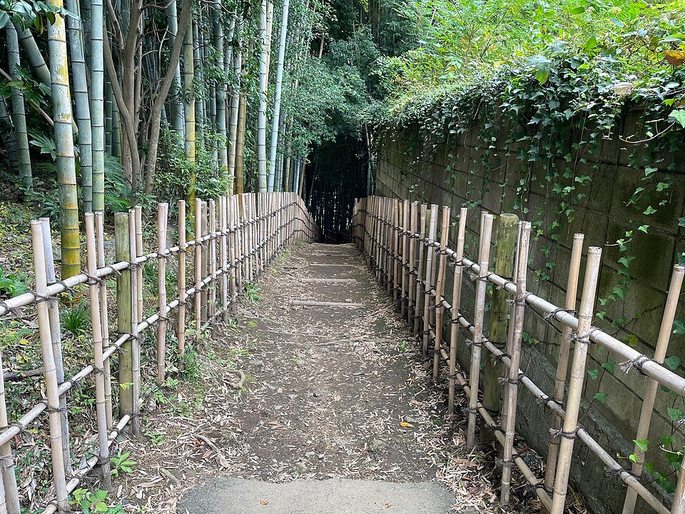 Prachtige Sakura bloesems op Hiyodori-zaka in Jonai-cho.