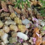 Huernia bloem met paarse strepen en stervormige bloemblaadjes.
