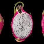 Heldergroene Selenicereus vrucht met witte vlekken op witte achtergrond.