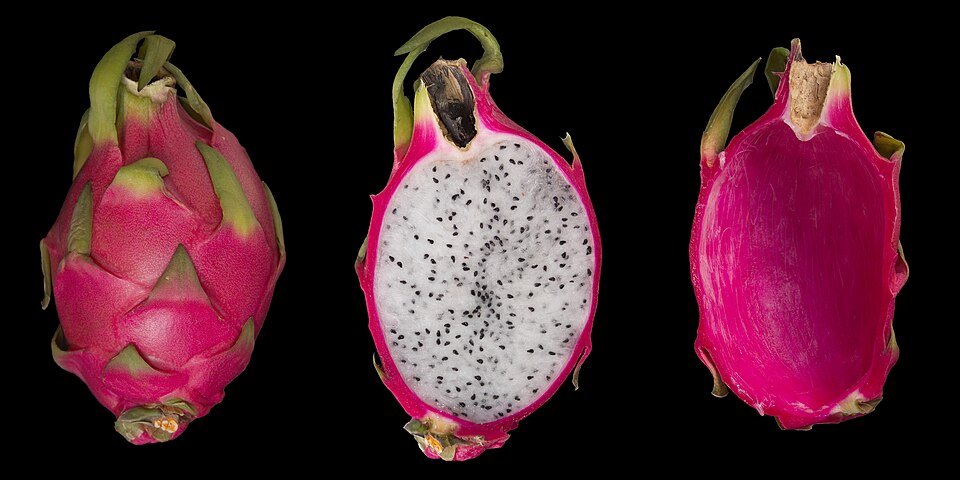 Heldergroene Selenicereus vrucht met witte vlekken op witte achtergrond.