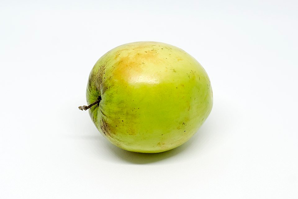 Indiase jujube fruit, sappig met bruine huid en zoet vruchtvlees.