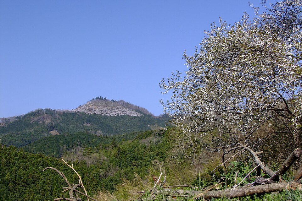 Berglandschap met kersenbloesems in Japanse stijl.