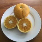 Rijpe Nieuw-Zeelandse grapefruit op tak, gele schil en groene bladeren.