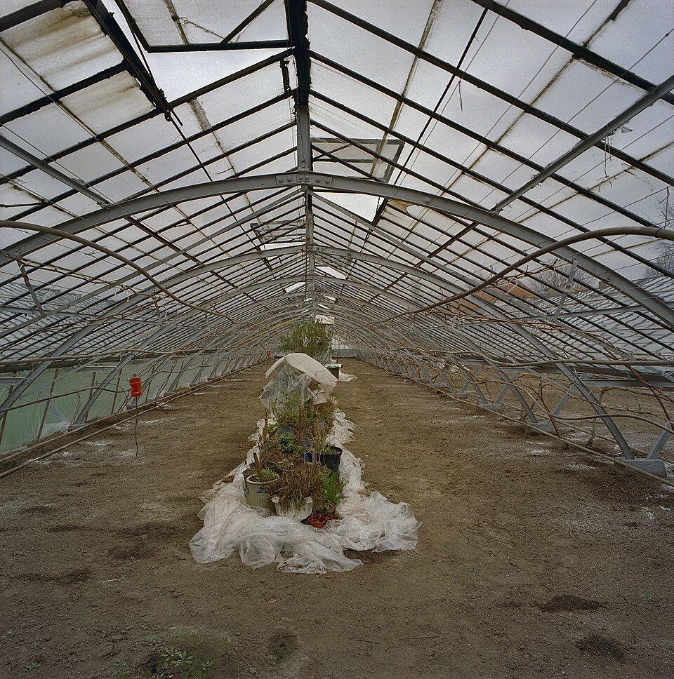 Plastic kas met potplanten in ijzeren kasinterieur.