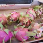 Rijpe pitahaya fruit met wit vruchtvlees en zwarte zaden.