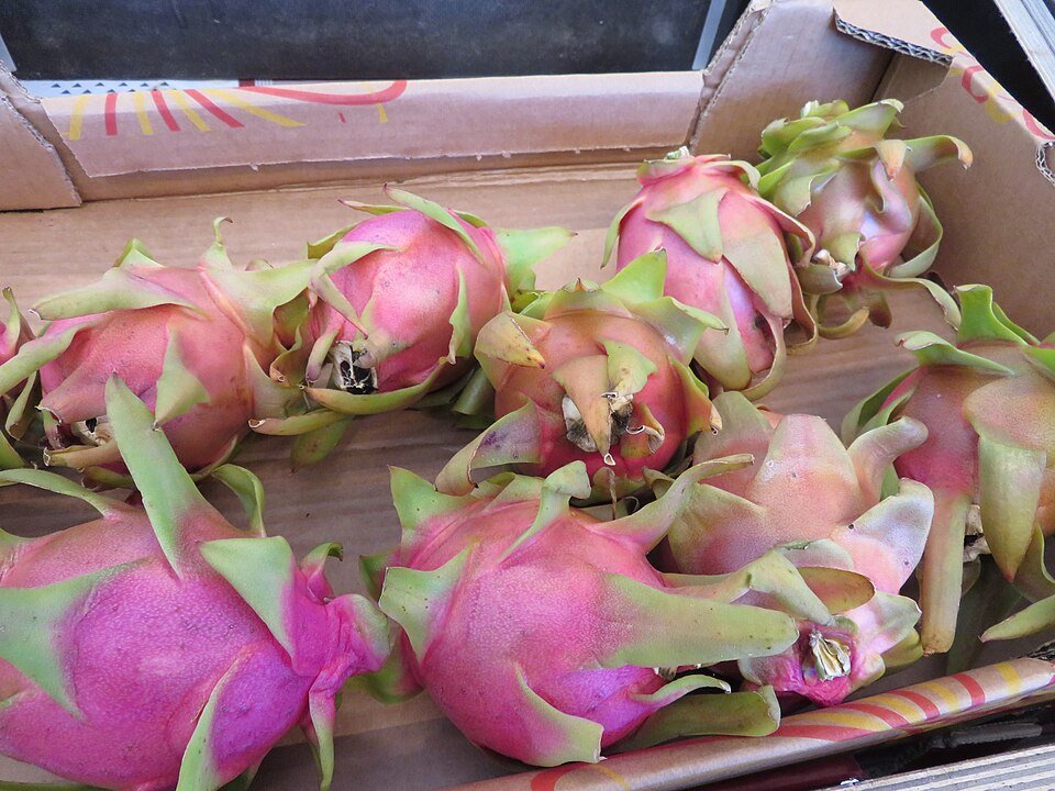 Rijpe pitahaya fruit met wit vruchtvlees en zwarte zaden.