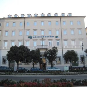 Groene Sasa plant met winterhardheidseigenschappen.