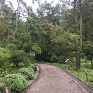 Traditionele Japanse tuin in Sankei-en, Kanagawa - diverse bloeiende planten en bomen.