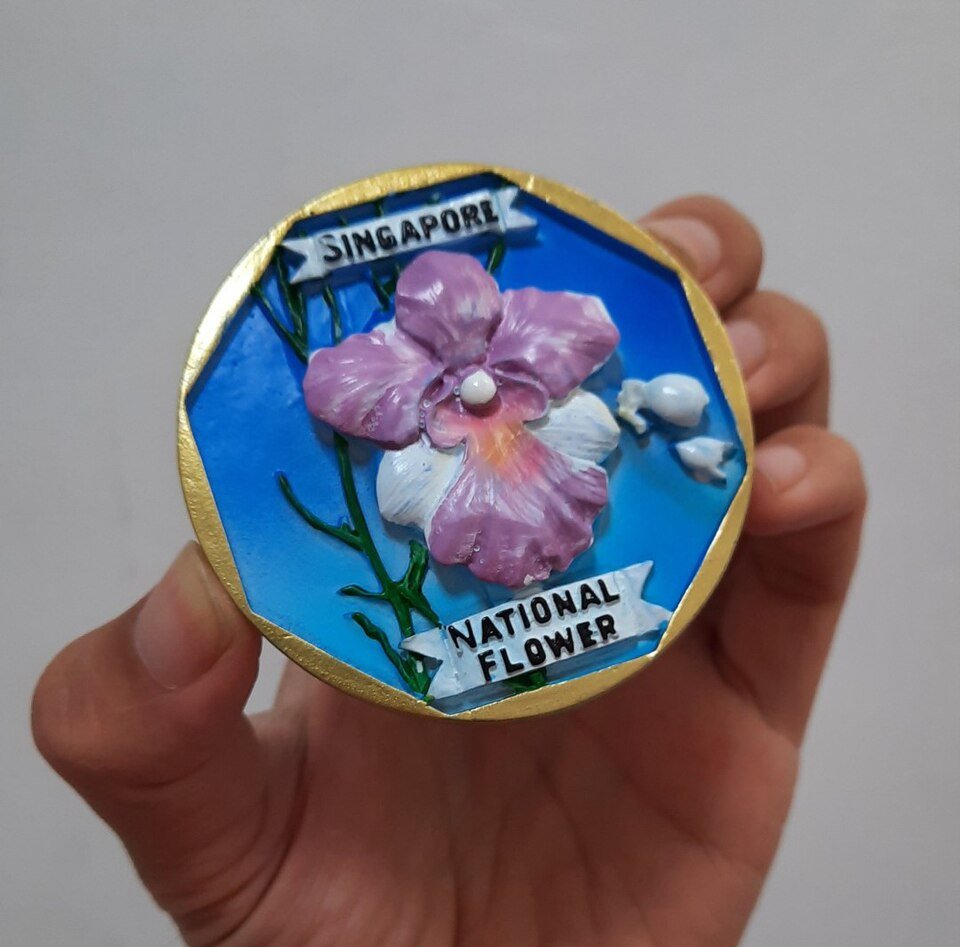 Orchideeën van Vanda teres × Vanda hookeriana in Singapore.