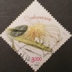 Bulbophyllum medusae orchidee postzegel Indonesië 2017.