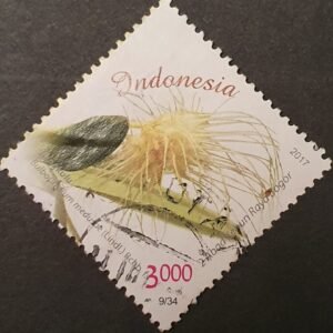 Bulbophyllum medusae orchidee postzegel Indonesië 2017.