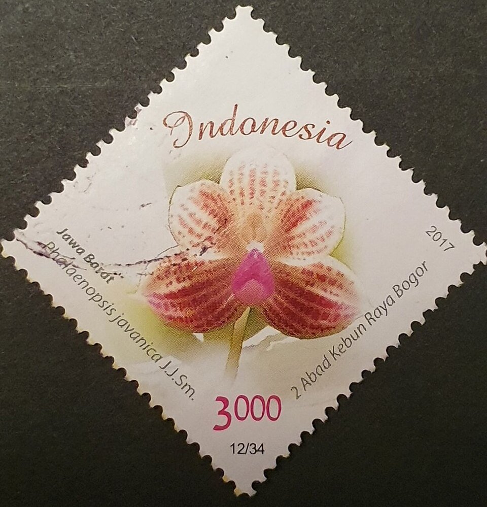 Phalaenopsis javanica orchidee postzegel van Indonesië.
