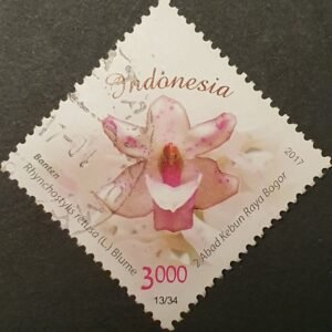 Rhynchostylis retusa orchideebloem op postzegel van Indonesië.