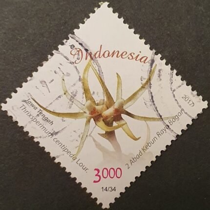 Bloeiende Thrixspermum centipeda orchidee postzegel van Indonesië.