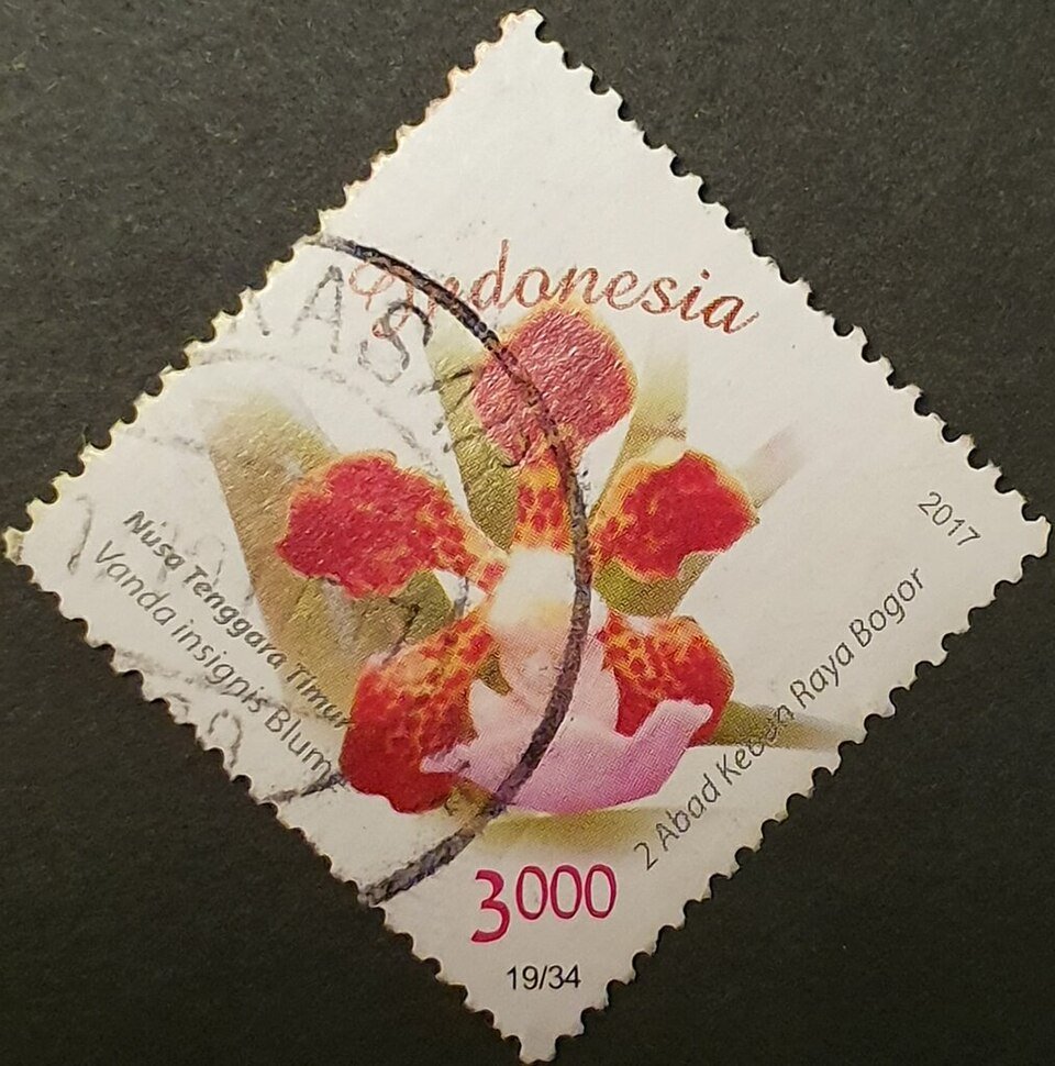 Vanda insignis orchidee op postzegel van Indonesië.