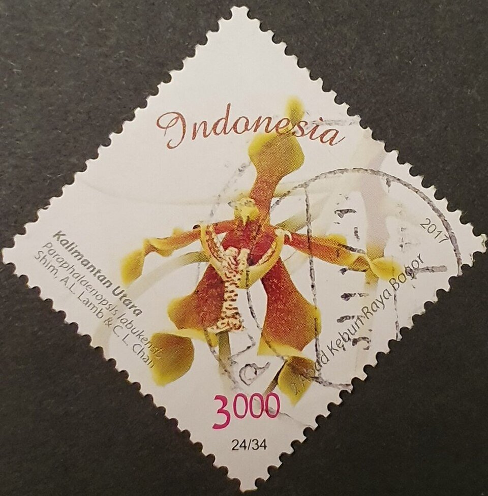 Paraphalaenopsis labukensis orchidee postzegel uit Indonesië 2017.