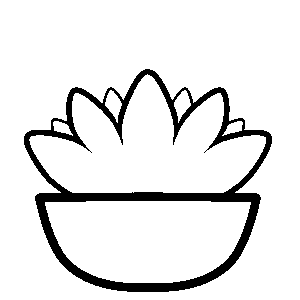 Succulent met grafische illustratie.