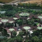 Supertree Grove verlicht 's nachts in Gardens by the Bay, Singapore.