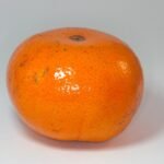 Rijpe Citrus ×tangerina op boom met oranje vruchten en groene bladeren.