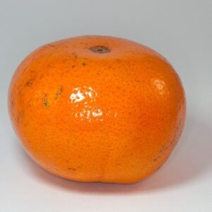 Rijpe Citrus ×tangerina op boom met oranje vruchten en groene bladeren.