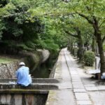 Wandelpad langs kersenbloesems en kalm water in Kyoto.
