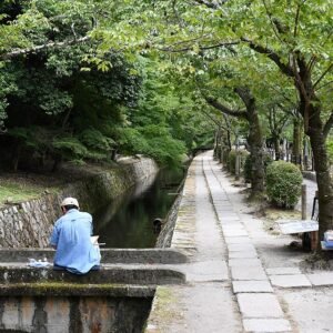 Wandelpad langs kersenbloesems en kalm water in Kyoto.