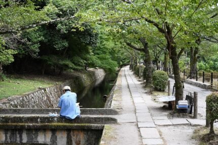 Wandelpad langs kersenbloesems en kalm water in Kyoto.
