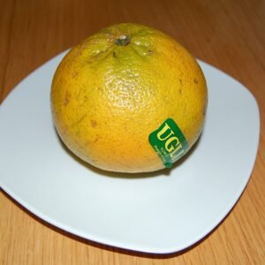 Rijpe Ugli vrucht op kleigrond achtergrond.