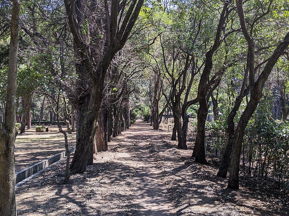 Botanische tuin met kleurrijke bloemen en groene planten in Viveros de Coyoacán.