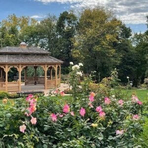 View of vibrant blooming flowers and lush greenery at Dubuque Arboretum and Botanical Gardens.