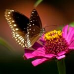 Zinnia angustifolia flower and butterfly in natural setting.