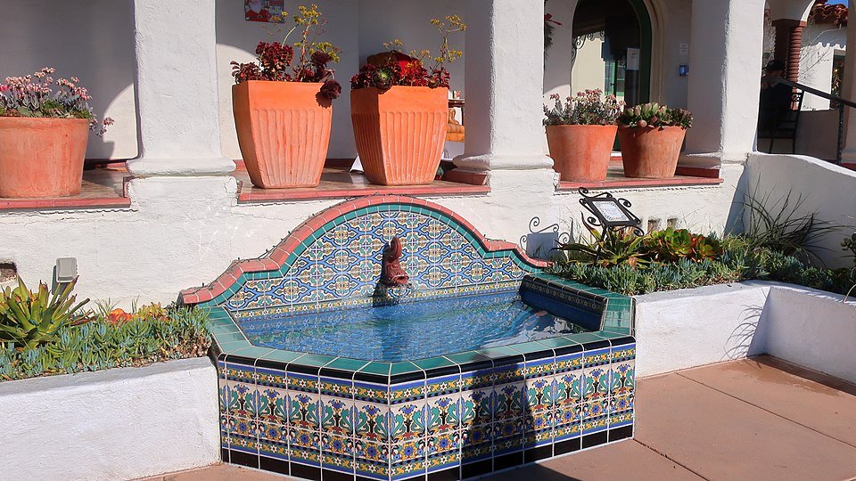 Kalanchoe sexangularis plant met zes hoekige bladeren in pot.