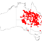 Distribution map of Acacia cambagei with 157 points.