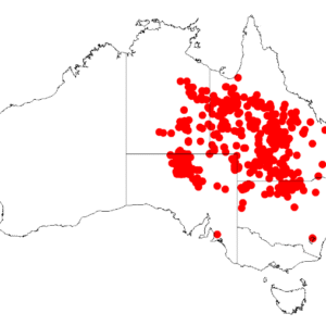 Distribution map of Acacia cambagei with 157 points.