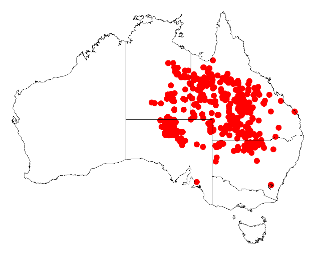 Distribution map of Acacia cambagei with 157 points.