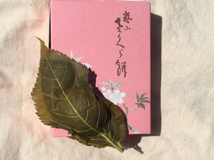 Roze Sakuramochi rijstcake met kersenbloesem op de top.