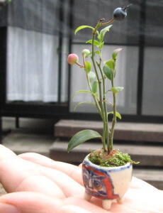 Kusamono en shitakusa arrangement op kleigrond.