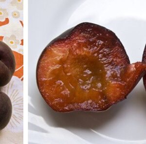 Rijke zwarte pruimen met fluweelachtige huidtextuur en donkere kleur.