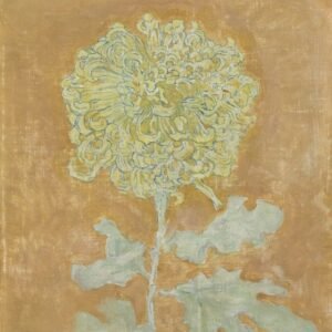 Chrysanthemum