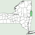 Illustratie van Cynoglossum amabile distributiekaart in New York.