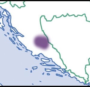 Pachystoma schelp met Europese kaart in roze, geel en zwart.